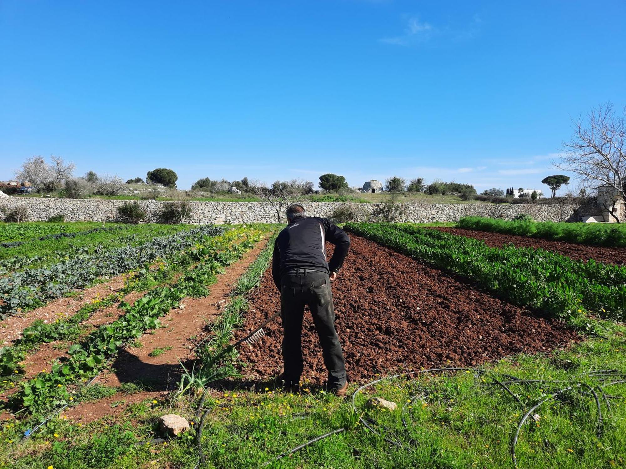 Masseria San Cosimo Carpignano Salentino Eksteriør billede